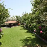 Thea Panorama